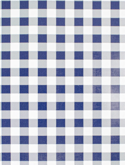 Blue Modern Gingham