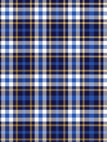 Blue Plaid